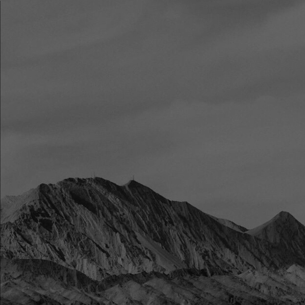 Meet your Posher, Leo